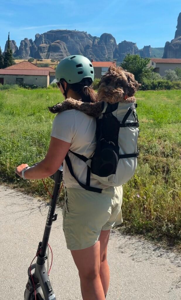 hond in rugzak