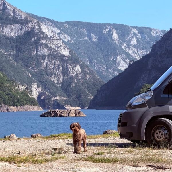 Bodhi bij de camper, header afbeelding