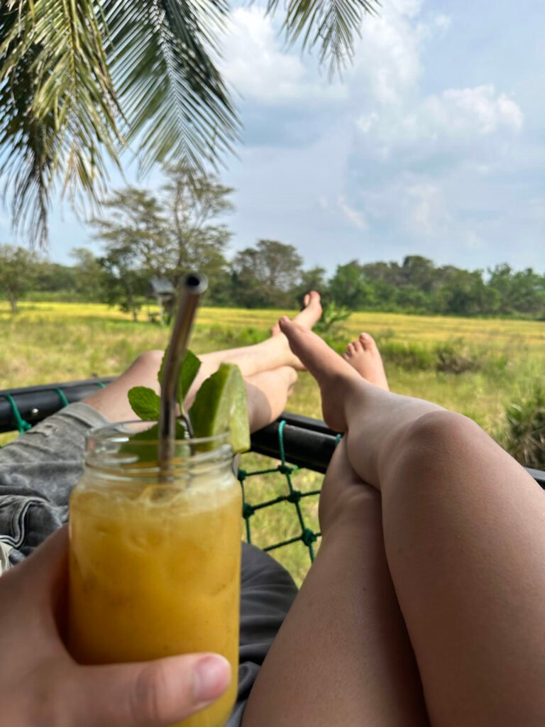Vers sapje met uitzicht op de rijstvelden bij een hostel in Sigiriya