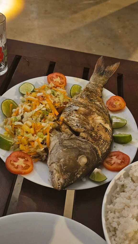 Vis uit het meer bij Wilpattu