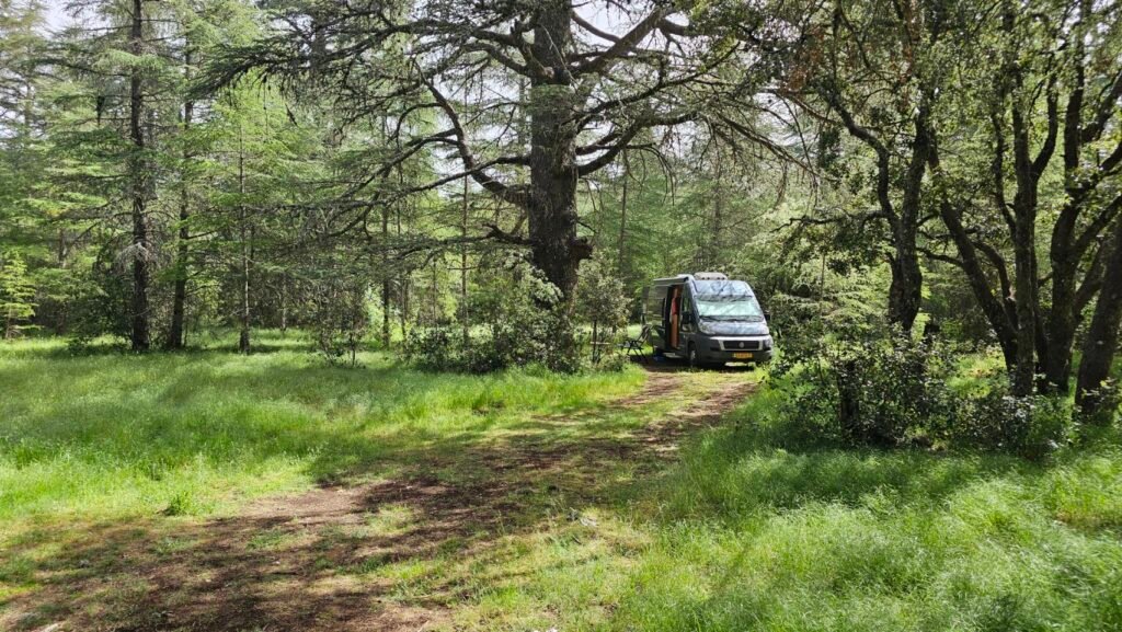 Camper in einem Zedernwald im Mittleren Atlas, Marokko